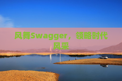 风舞Swagger，领略时代风采